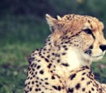 Photo 2015-04-18, 12 05 47 PM